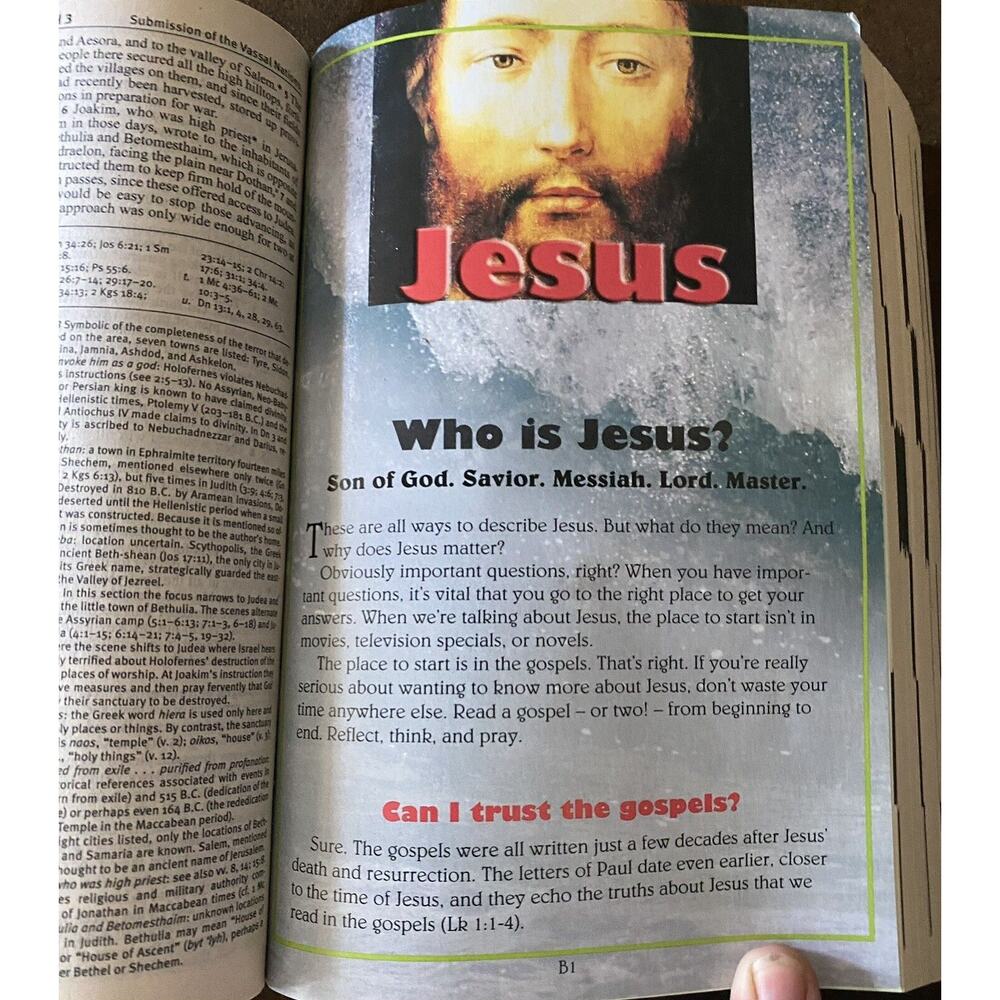 The Catholic Teen Bible StudyNAB Revised Edition Illustrated Inserts - Picture 8 of 16